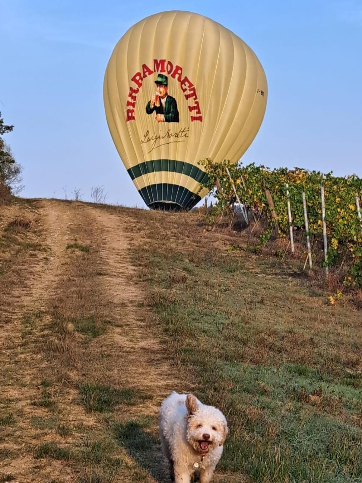 Podere Fichereto Scandicci Exterior foto